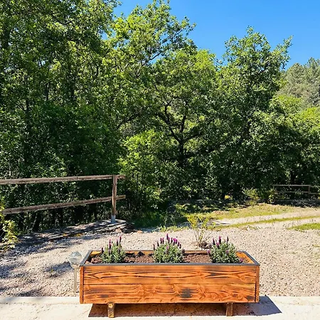 La Loge De Lya Appartamento Gagnières